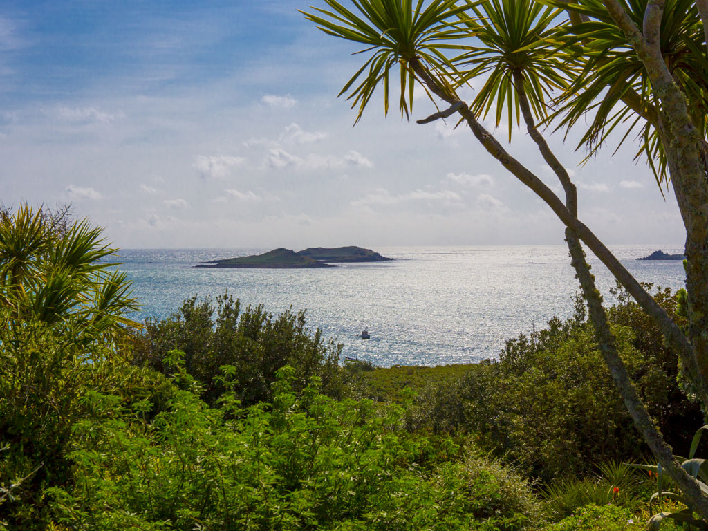 Discover St. Martin's island in Spring - Opening 8th April 2020 Nature and Wildlife