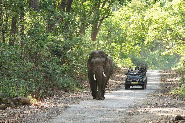 Karma Sitabani Jungle Safaris Karma Sitabani Jungle Safaris