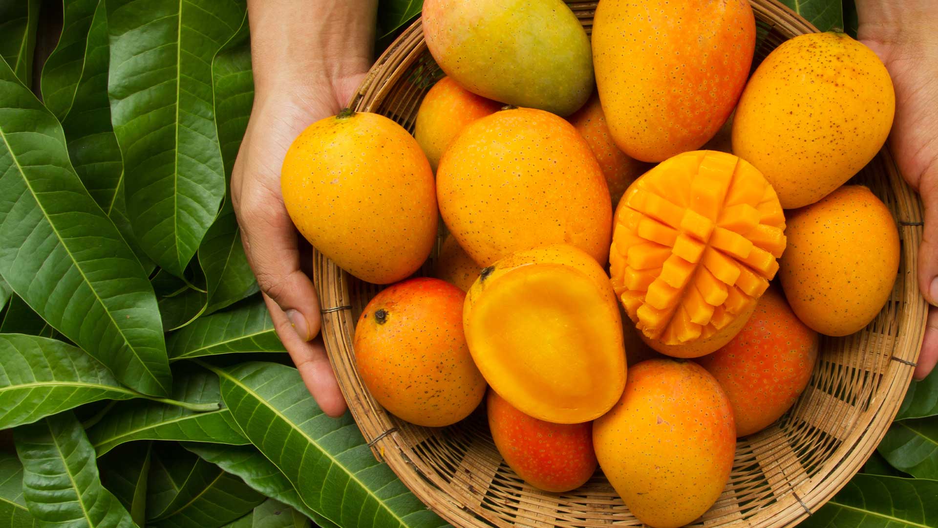 Juicy Quiz : It’s Mango Season!