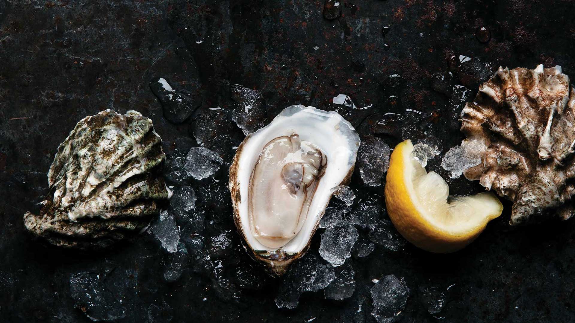 The Oyster Is Your World Quiz