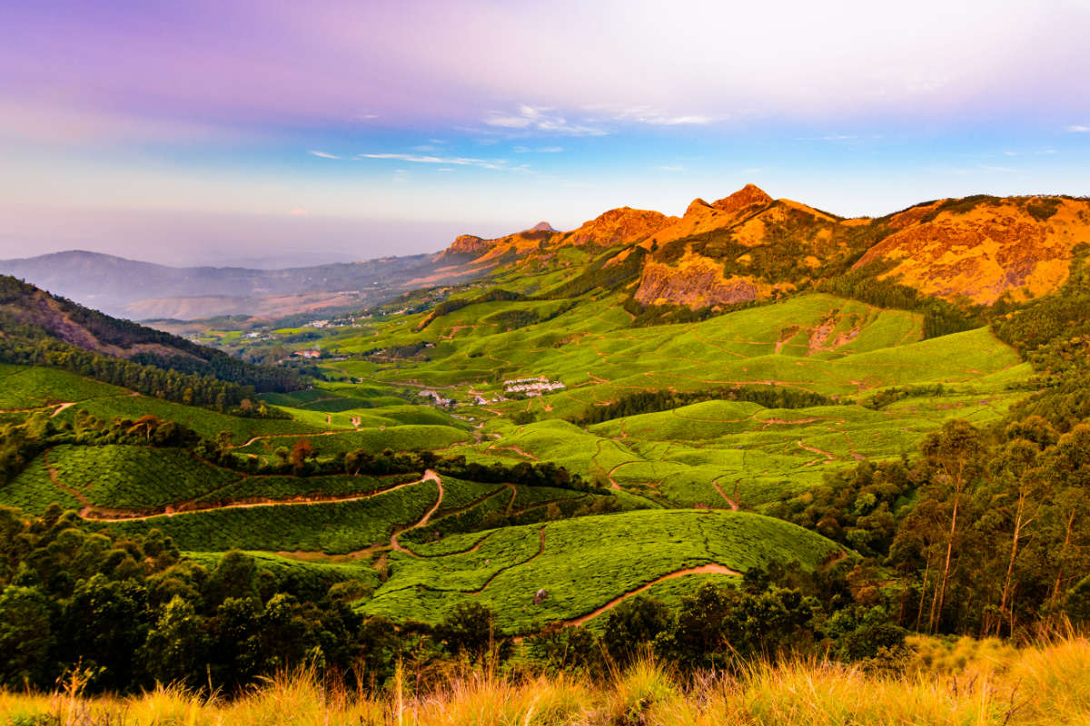 Karma Munnar Excursions Karma Munnar Excursions