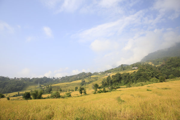 Karma Martam Retreat Off-site Activities