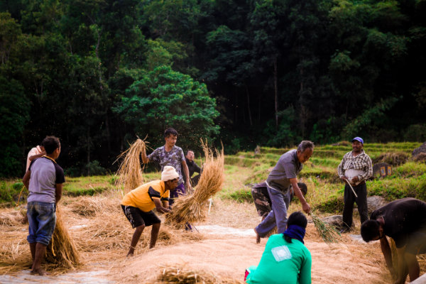 Karma Martam Retreat Off-site Activities