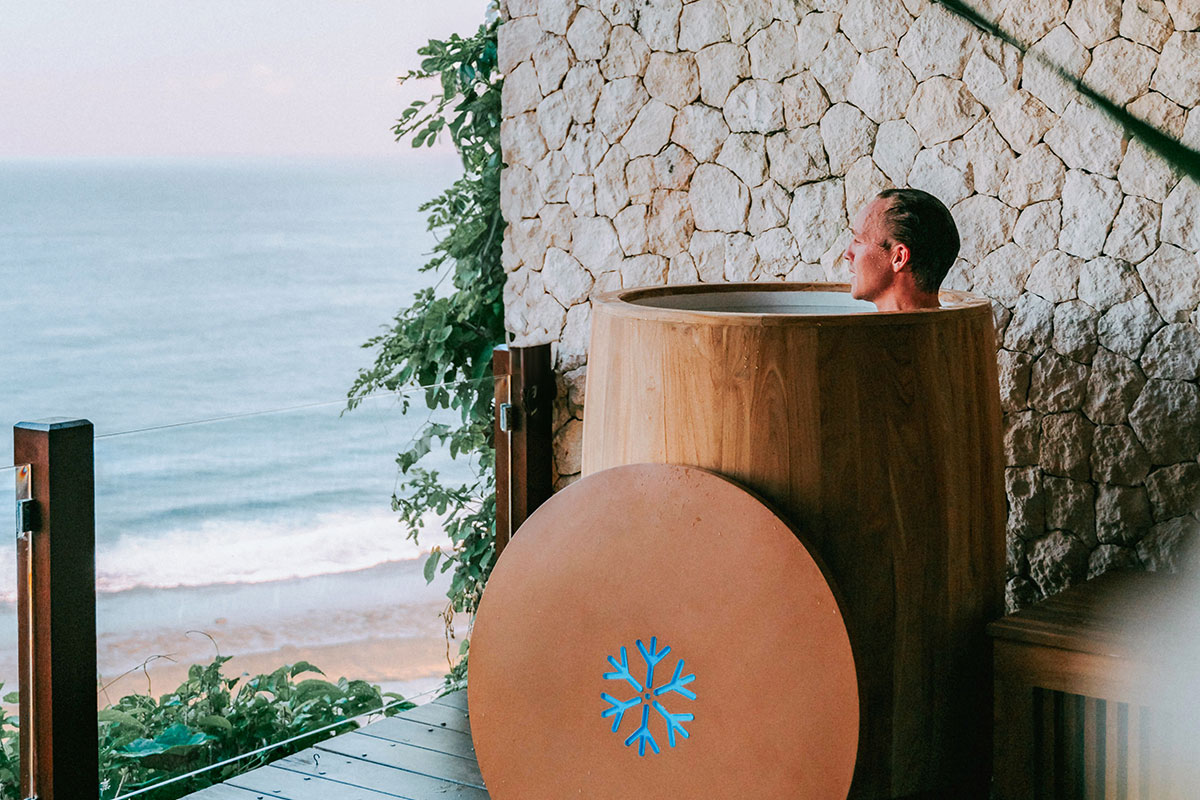 FIRE + ICE - INFRARED SAUNA and ICE BATH IMMERSION