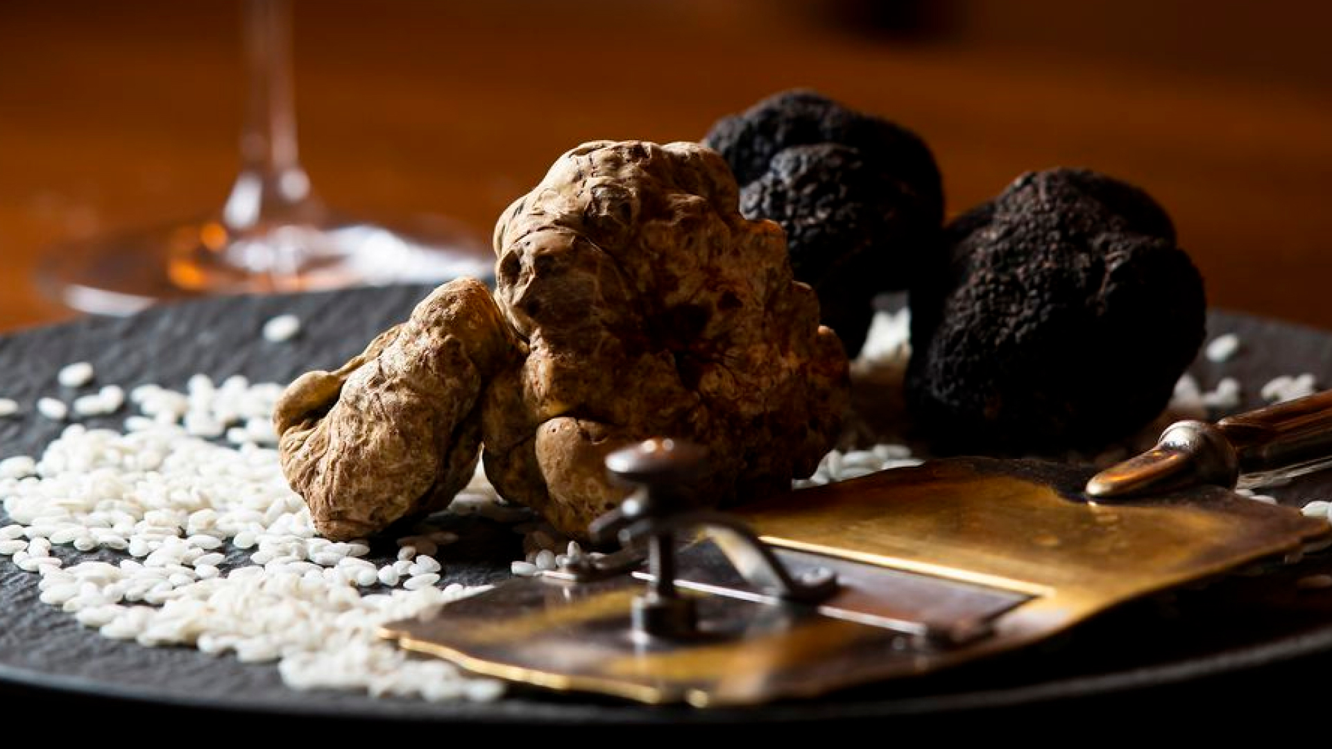 Secrets of the Truffle Hunters