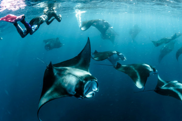 Karma Fushi Snorkelling