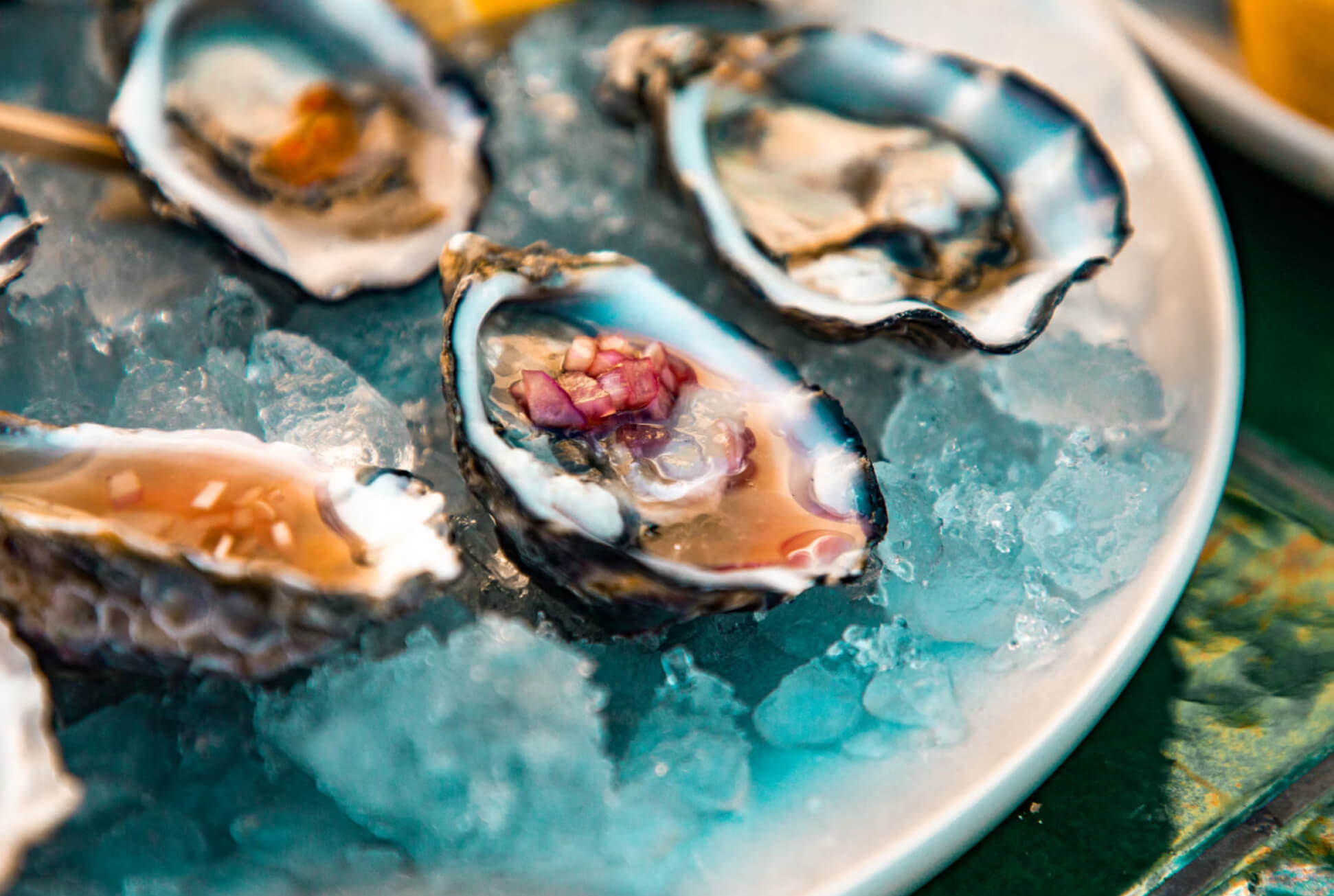 Shuck & Sip: Sydney Oyster Experience