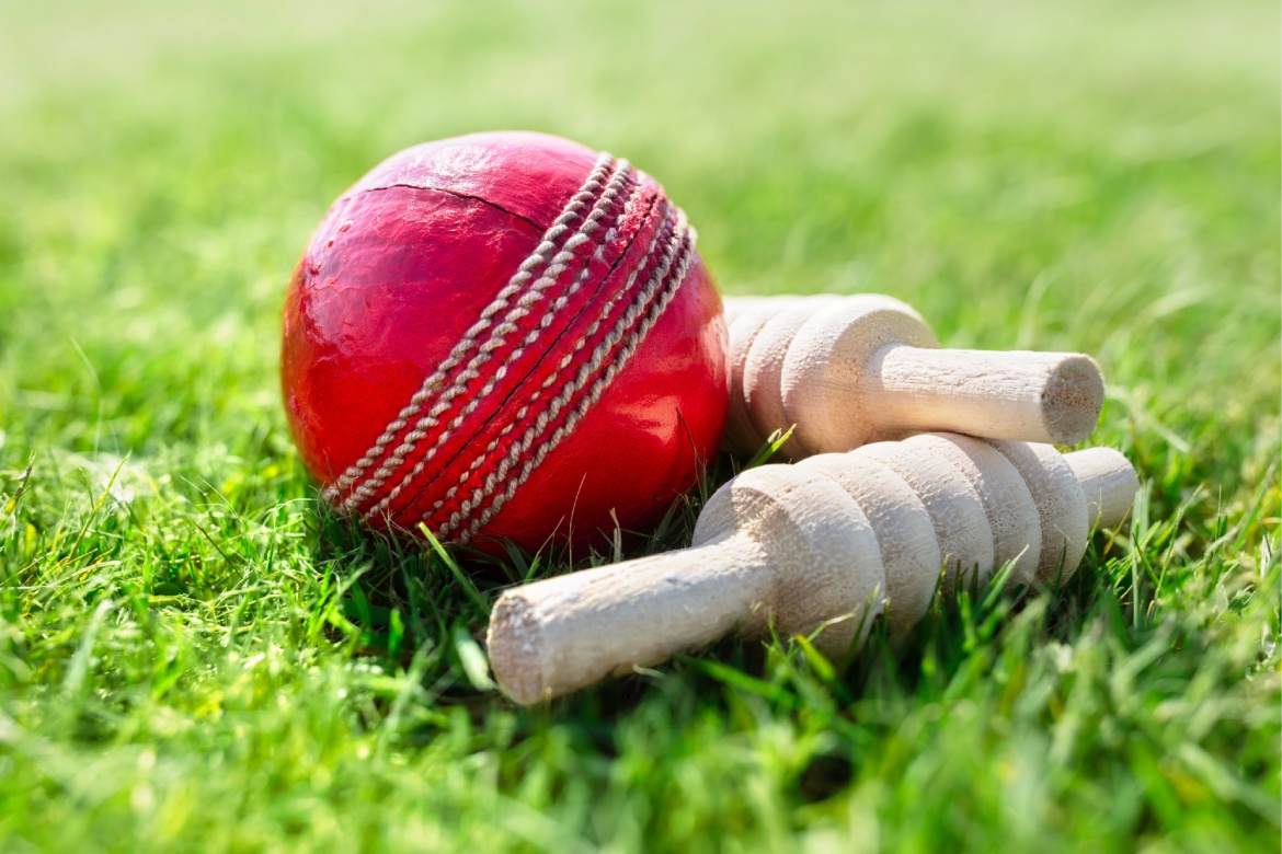 Karma Tashi Lawn Cricket