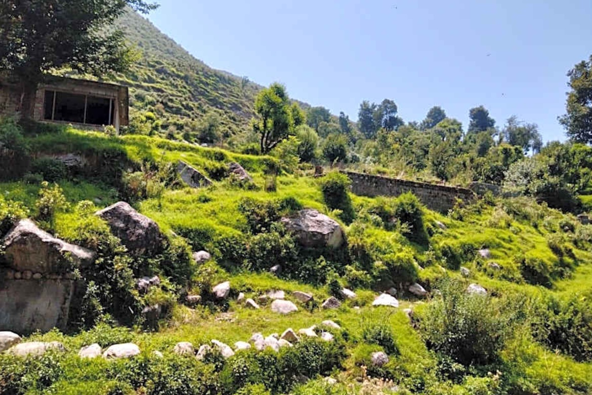 Karma Tashi Nature Walks