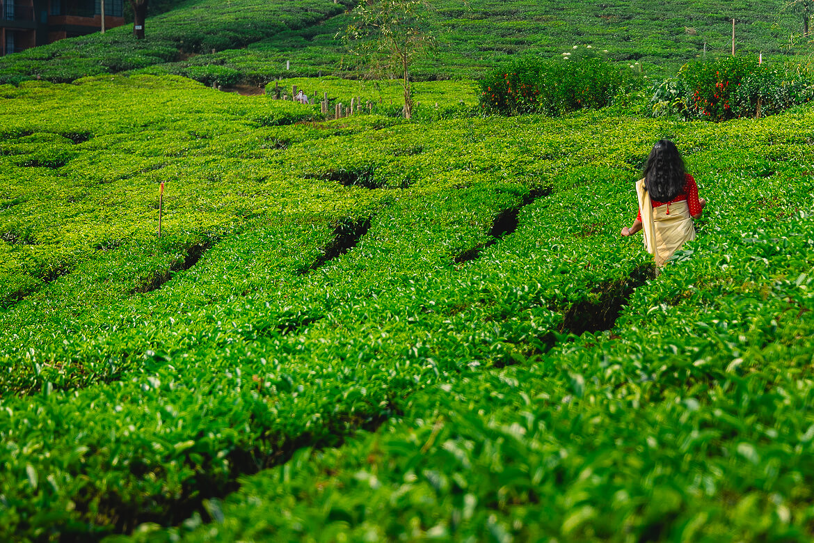 Karma Munnar Excursions