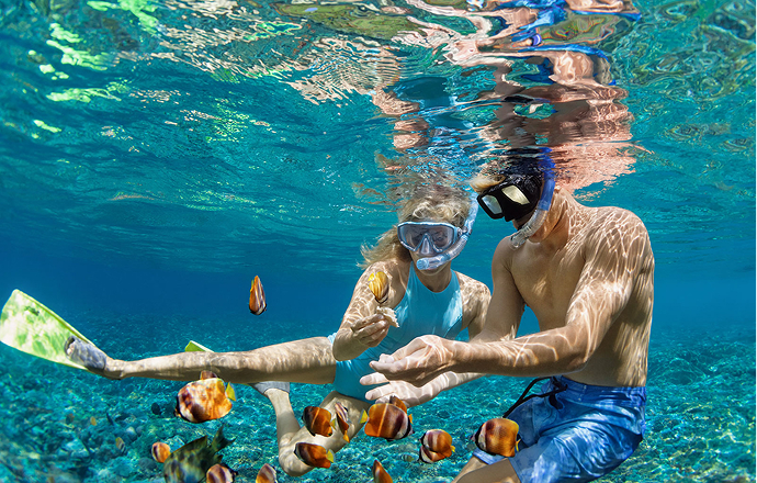 Coral Reefs, Island Games & Sunset Dhoni Cruise
