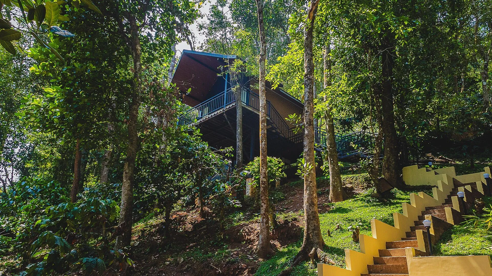 Elevated treehouse suite raised among rainforest trees at Karma Vythiri, Wayanad
