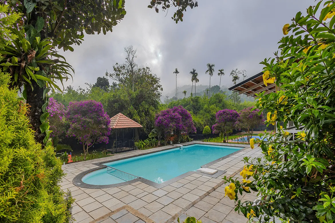 Swimming pool surrounded by misty Western Ghats forest at Karma Vythiri, Wayanad