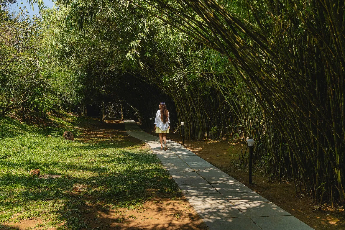 Karma Vythiri Walking/jogging Track in Nature