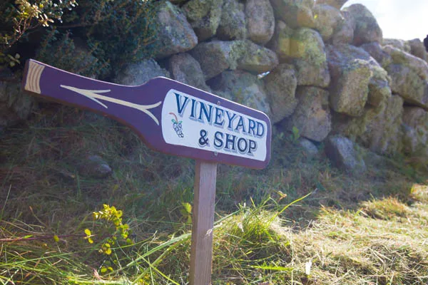 Karma St. Martin's St. Martin’s Vineyard