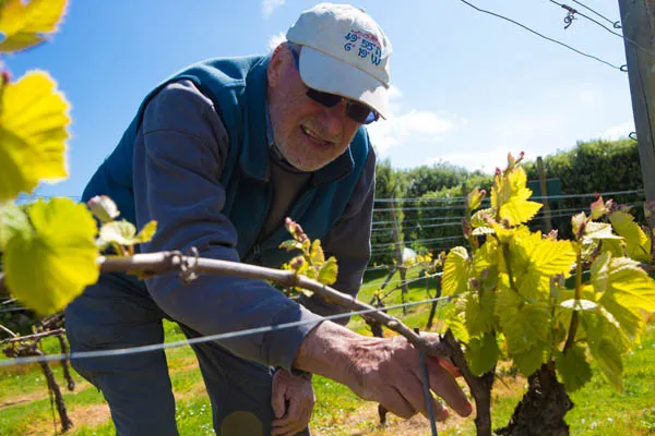 Karma St. Martin's St. Martin’s Vineyard