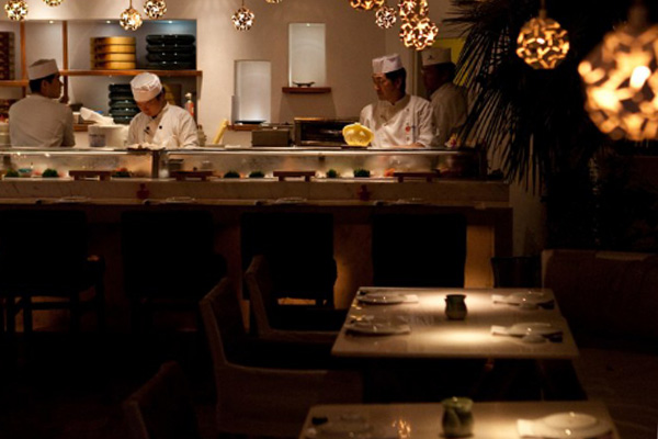 Pelikanos Professional Chef