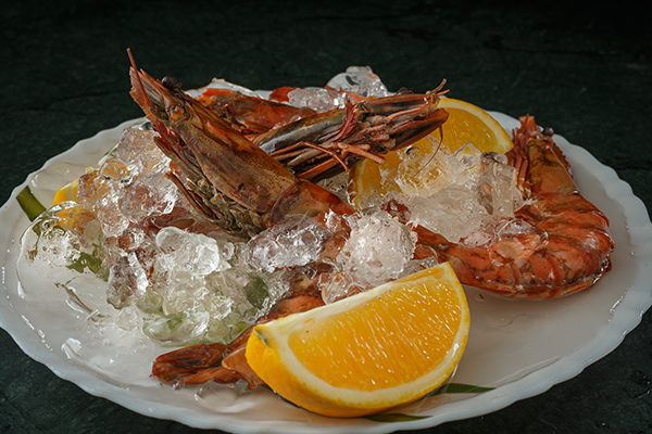 Karma Royal Haathi Mahal Casa Lisboa