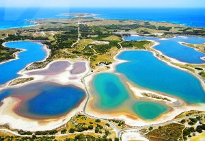 rottnest sightseeing