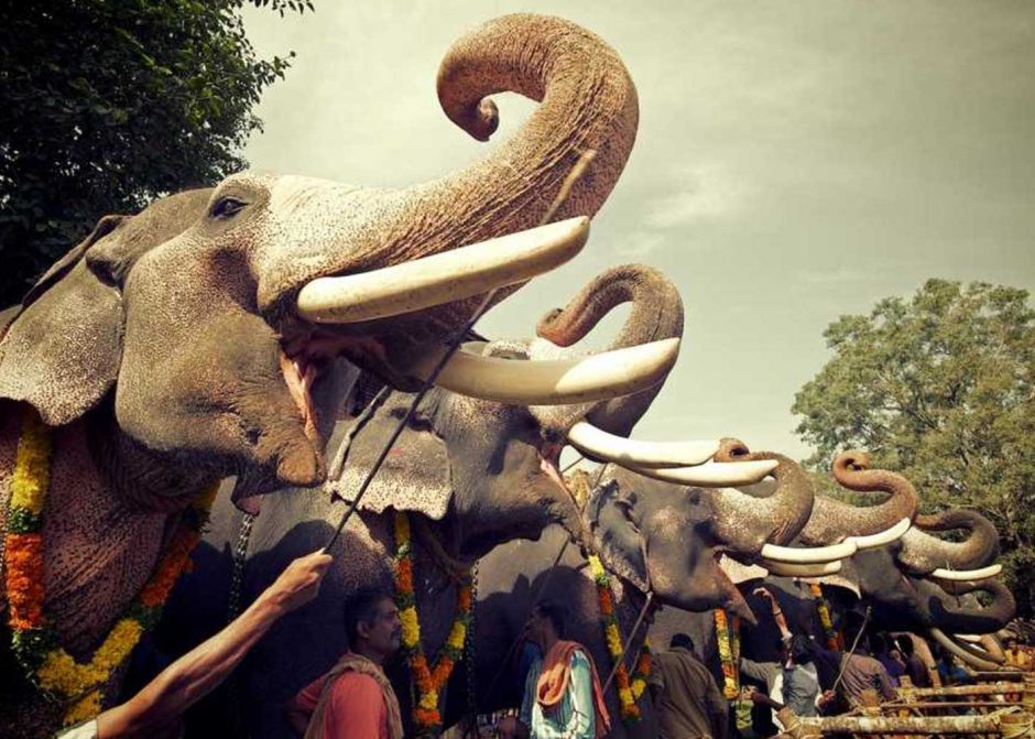 It’s Festival Season In Kerala…